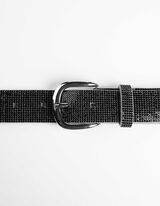 Pas - Okrasni kamni - siva