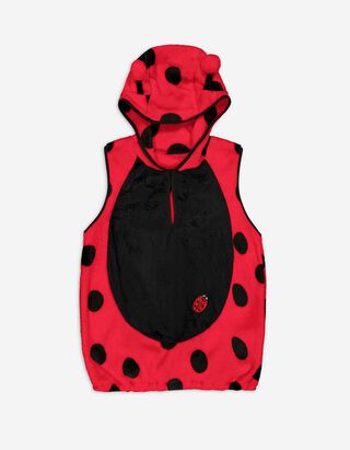 Kost&uuml;m - Marienk&auml;fer&nbsp; -