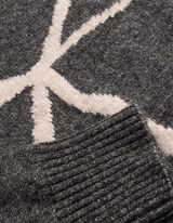 Pullover - Jacquard - Beige