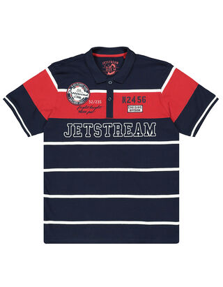 Herren Poloshirt mit Print und Streifenmuster
