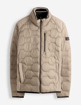 Steppjacke - Stehkragen - hellbraun