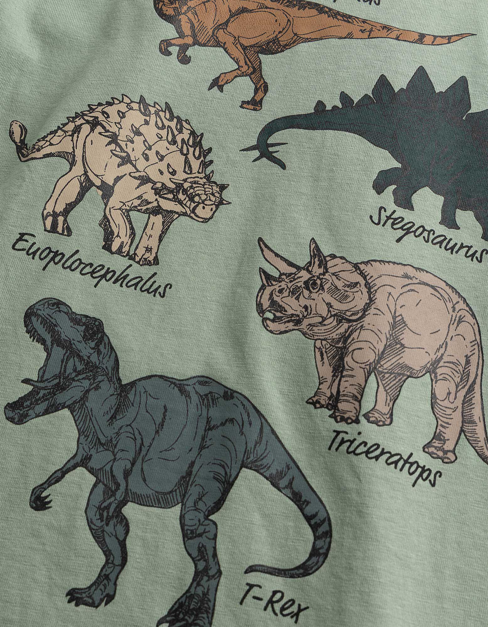 Langarmshirt - Frontprint - Gr&uuml;n