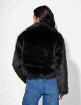 Dzseki - rövidített - fekete