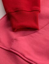 Sweatshirt - Blockmuster - Pink