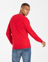 Pullover - Rundhals-Ausschnitt