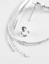 Kõrvarõngad - hobe