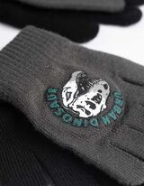 Pirštinės - Pakuotė po 2 vnt.