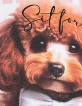 T-shirt - Dierenprint - wit