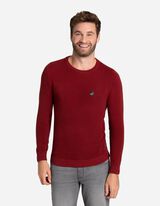 Pullover - Labelpatch