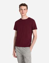 &Scaron;portne hlače - Jogger Fit - siva