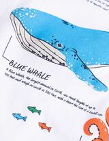 T-Shirt - Frontprint - weiß