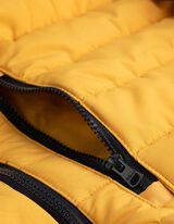 Gewatteerde jas - Waterafstotend - lichtgeel