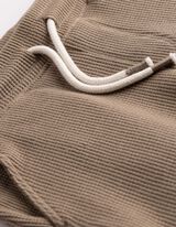 Short - Coton - taupe