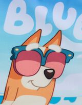 Plavky - Bluey - tyrkysovy