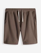 Short - Coupe Regular Fit - Gris