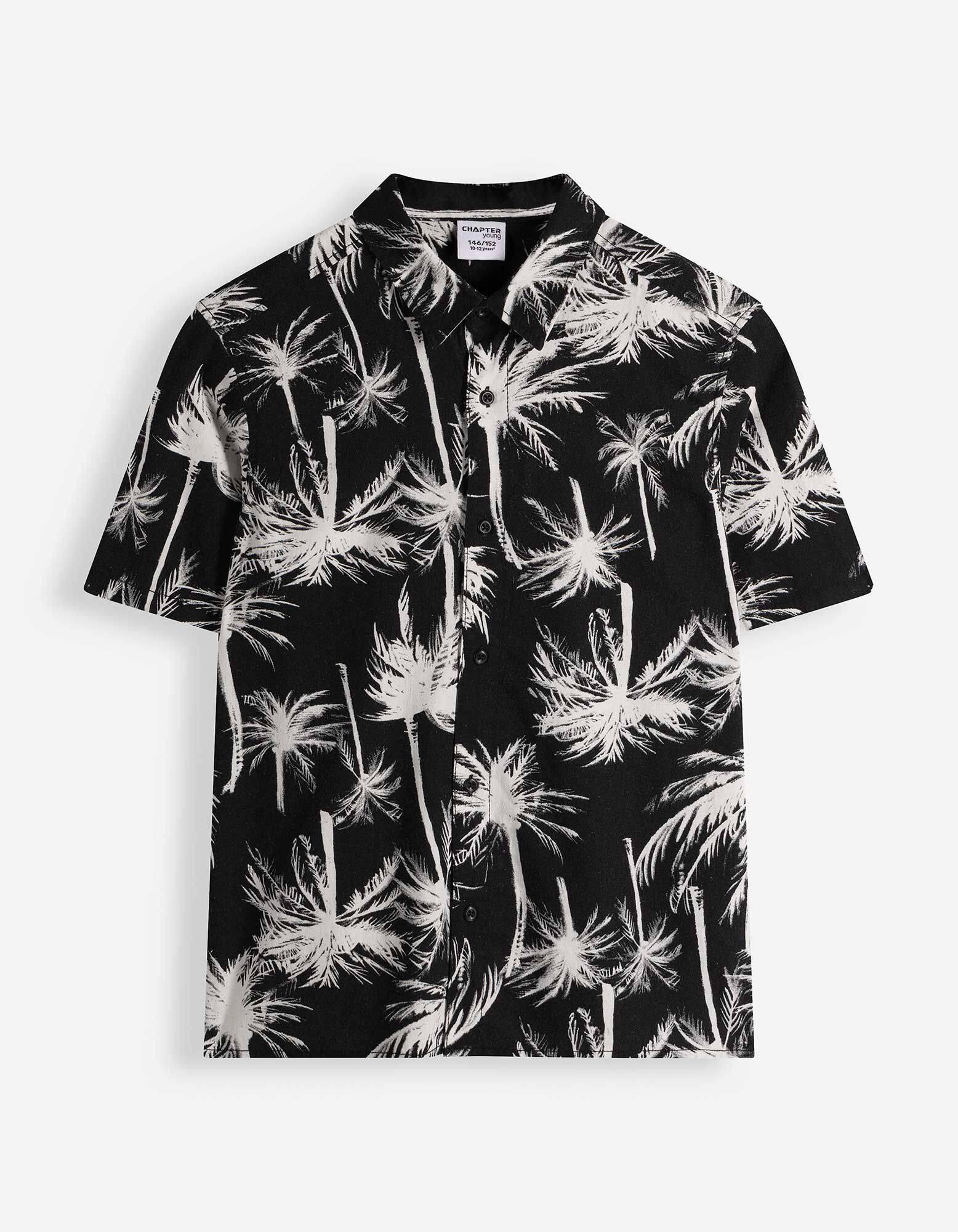 Ko&scaron;ile - Vzhled lnu - tmave seda