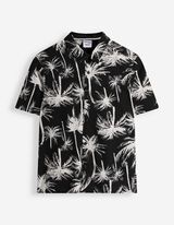 Ko&scaron;ile - Vzhled lnu - tmave seda