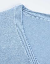 Trui - LENZING™ ECOVERO™ - lichtblauw