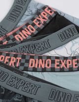 &bdquo;Trunk&ldquo; apatiniai - 5 vnt. pakuotė