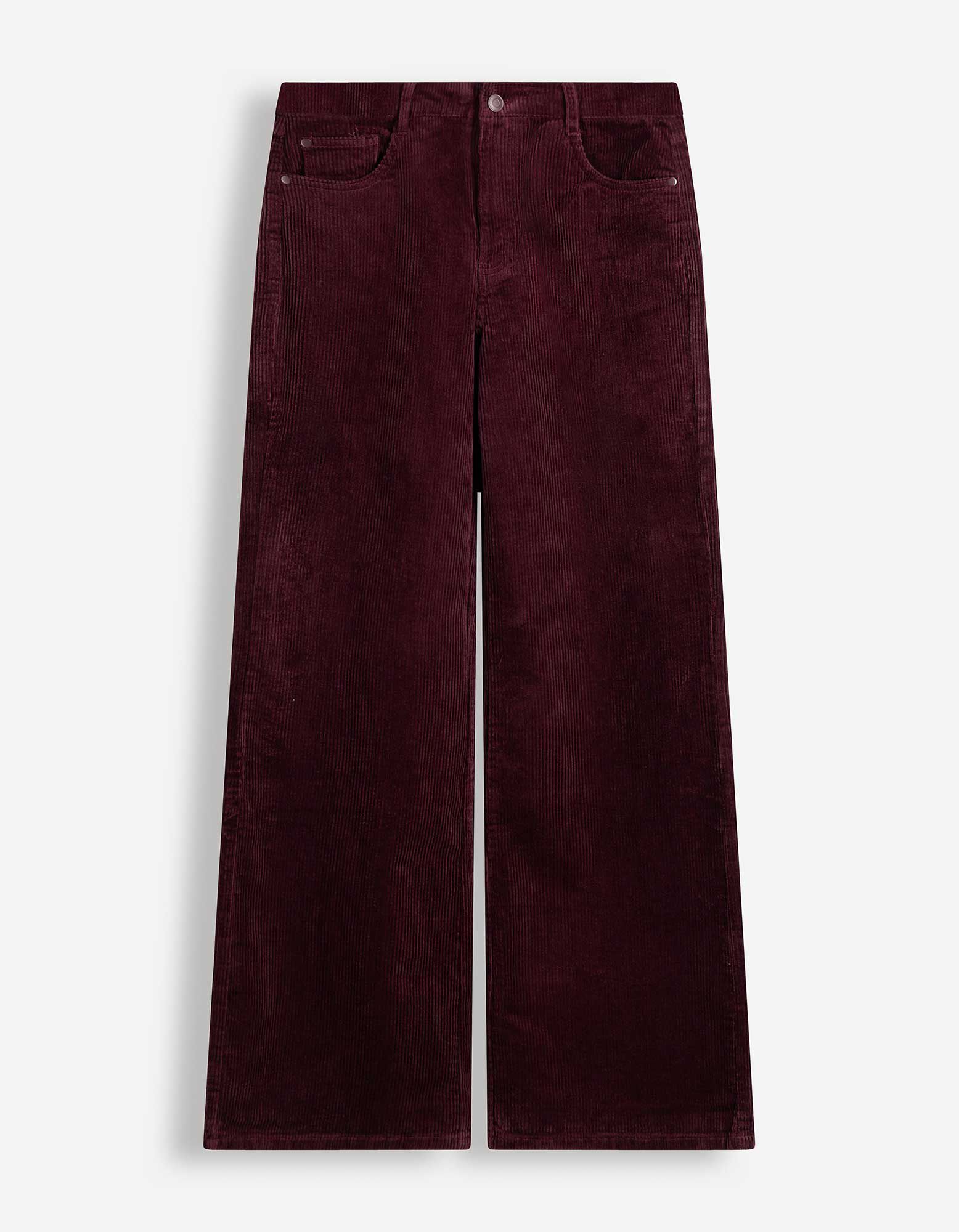 Hose - Cord - Lila