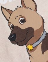 koszulka z długim rękawem - bawełna - bez