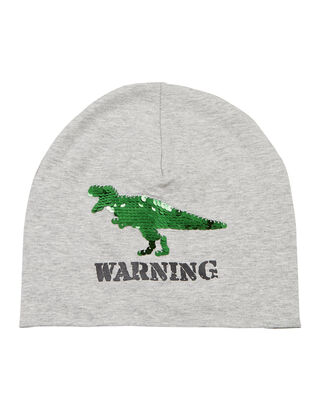 Jungen  Beanie mit Dinosaurier-Applikation