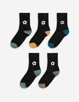 Set van 5