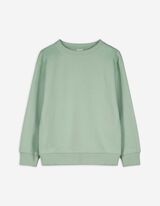 Sweatshirt - einfarbig - grün