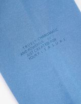 Kapuutsiga dressipluus - kulutatud v&auml;limusega - helesinine