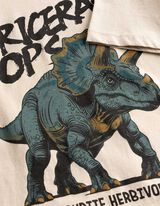 Shirt - Frontprint - beige