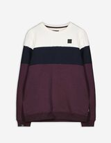 Sweatshirt - Color-Blocking - dunkellila