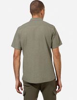 S&auml;rk - linasegu - roheline