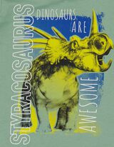 T-s&auml;rk - tr&uuml;kis - t&uuml;rkiissinine