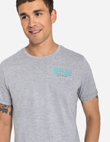 T-s&auml;rk - motiiv - hall