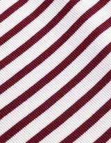 T&iacute;lko - Žebrov&aacute; struktura - b&iacute;l&aacute;