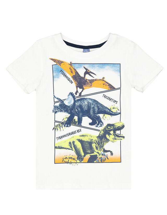Jungen T Shirt Mit Dino Print Takko Fashion