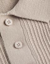 Trui - Polo kraag - lichtgrijs