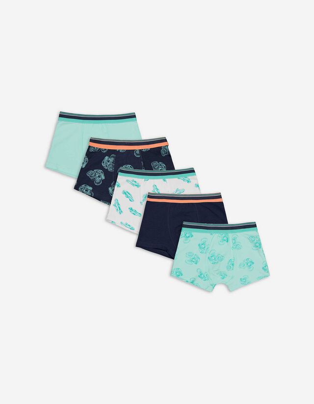 Slip da uomo - Confezione da 5 pezzi