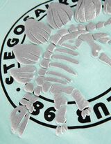 T-s&auml;rk - tr&uuml;kis - t&uuml;rkiissinine