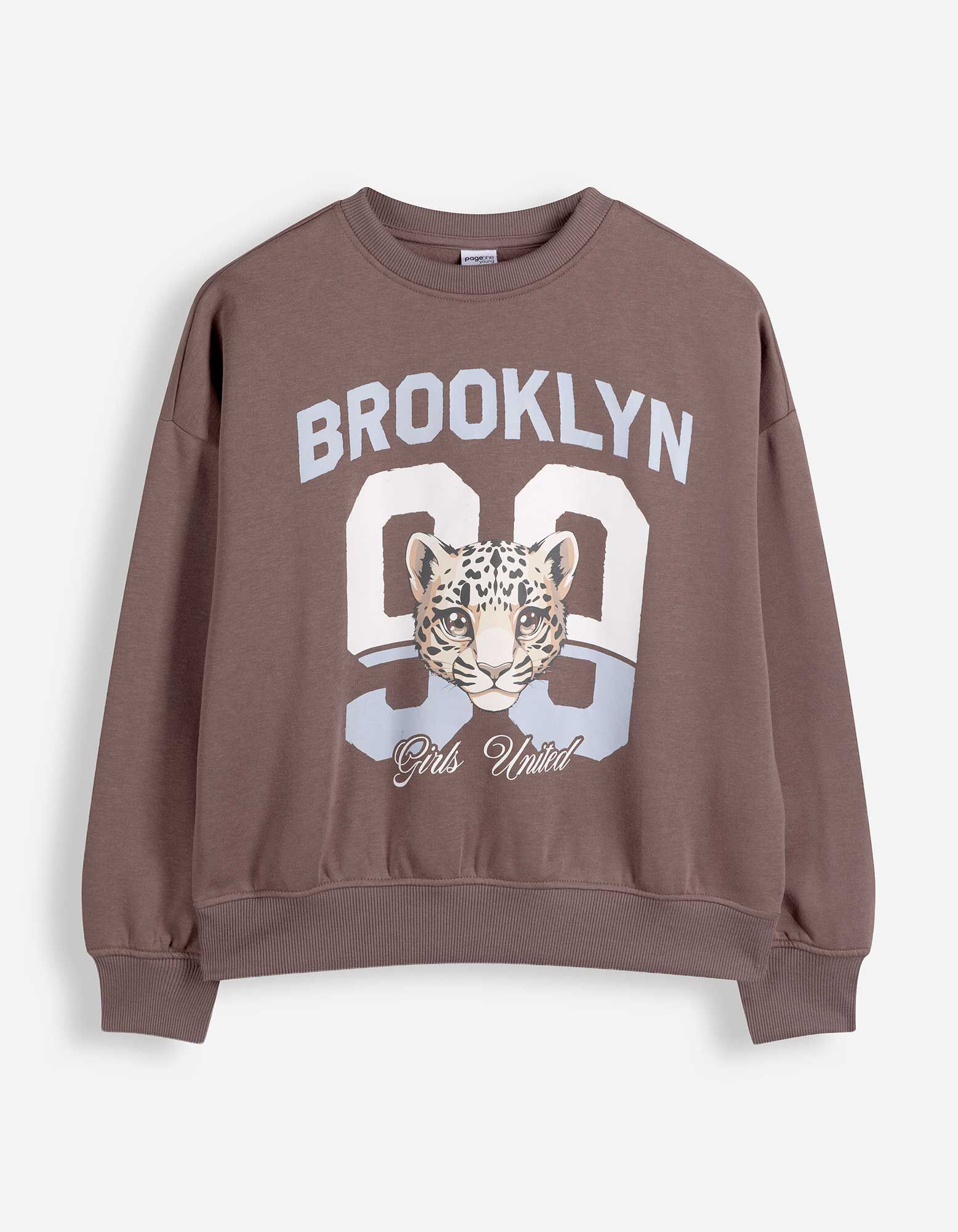 Sweatshirt - Print - Braun