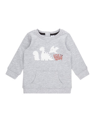 Newborn Sweatshirt mit Dino-Flockprints
