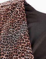 Pluuskleit - seotav - pruun