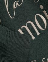 Strickpullover - Stickerei - dunkelgrün