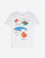T-shirt - Frontprint - bialy