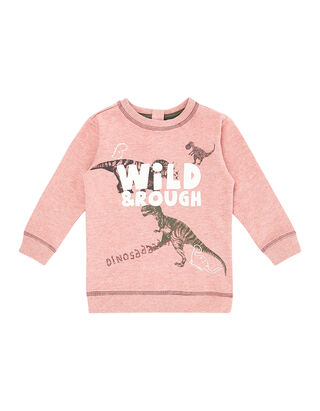 Baby Sweatshirt mit Dinosaurier-Print&nbsp;