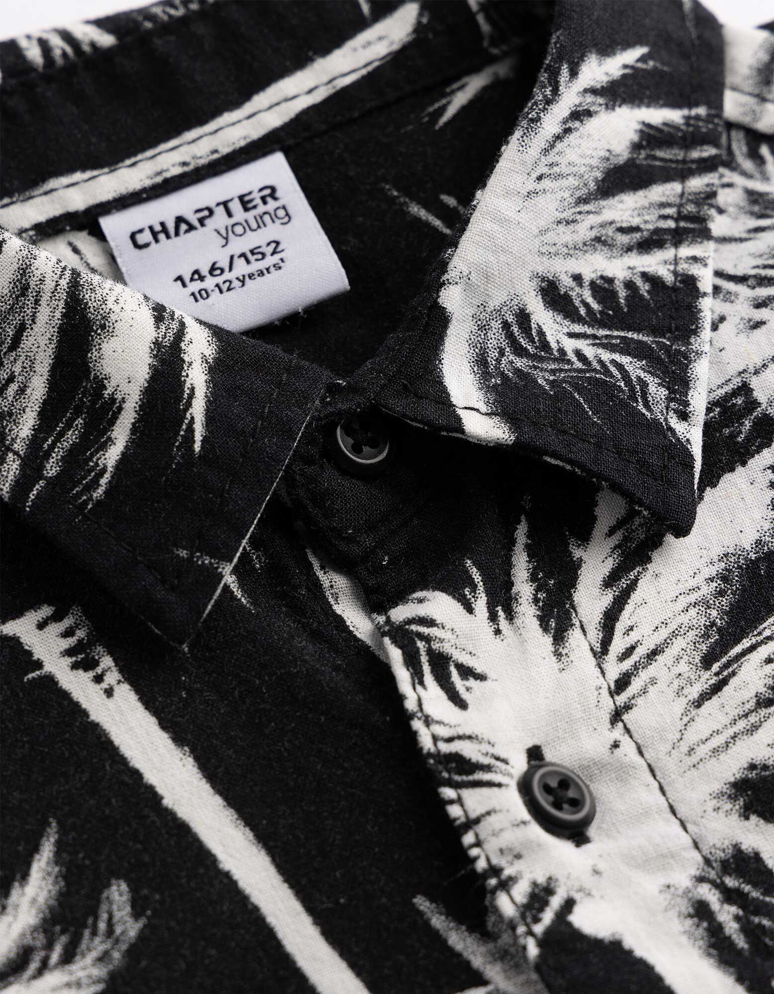 Ko&scaron;ile - Vzhled lnu - tmave seda