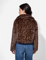 Jachetă - scurt - Maro inchis