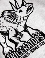 Set aus Hoodie und Hose - Dinosaurier