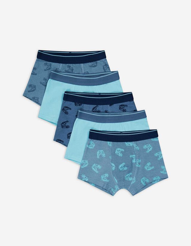 Slip da uomo - Confezione da 5 pezzi