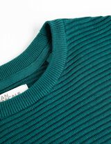 Bliuzonas - Prekės ženklas - turkis